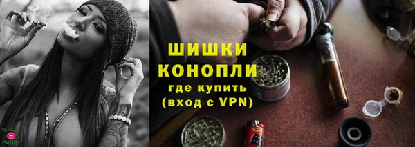 стаф Коряжма