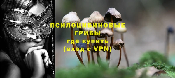 ГАЛЛЮЦИНОГЕННЫЕ ГРИБЫ Алексин