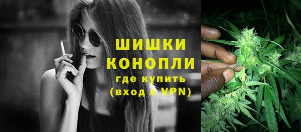 ГАЛЛЮЦИНОГЕННЫЕ ГРИБЫ Алексин