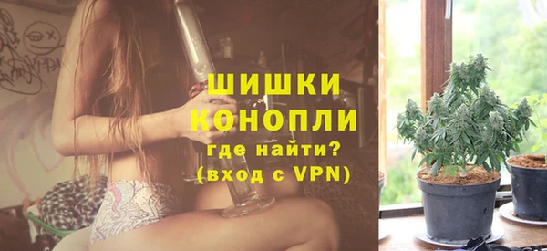 шишки Корсаков